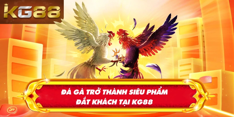 Đá gà trở thành siêu phẩm đắt khách tại KG88